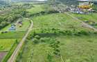 Teren intravilan, 500mp, panorama uluitoare, Sancraiu, Covasna - 7