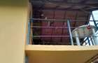 De vanzare casa +teren 16k mp in BARCANESTI / IL - 15