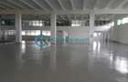 Royal Imobiliare - Inchiriere spatiu industrial Filipestii de Targ - 3