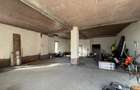 Spatiu comercial Visan - 1