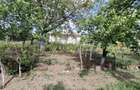 Casa paianta locuibila. Teren 1772 mp, desch. 30 ml. Asfalt, curent, apa, canal. - 27