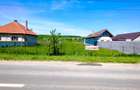Oportunitate de Investiție. Teren 5.000 mp în Podul Oltului. - 2