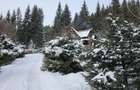 Casă / Vilă de vacanta - 2
