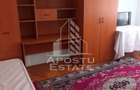 Apartament cu 1 cameră , spațios , Iosefin - 2