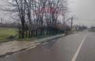 Teren intravilan 2.205 mp – dublă deschidere, utilități, parcelabil - 12