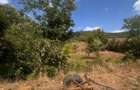 TEREN INTRAVILAN - 2500 MP - Valea Mare- Podgoria - 3
