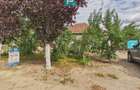 Casă solidă în Curtici cu teren de 1166 mp - 34