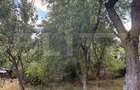 Casa de vaznare, 190 mp, teren 922 mp, zona Codlea - 7