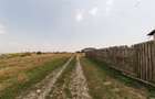 Casa P+M cu 6 camere si teren de 705 mp | Pitesti – Strada Zborului - 16
