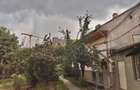 Apartament cu 1 Camera | Curte Comuna - 7