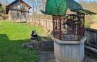 Proprietar vand casa+ teren 13000mp, Steia, Tomesti, jud. Hunedoara, 20km de Bra - 14