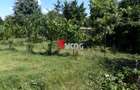 Teren intravilan | 2.810 mp|18ml|Zona Fratelia| - 16