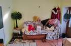 Casa 5 camere HALCHIU - SATU NOU - 16
