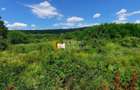 🌳 🌞🌿 TEREN INTRAVILAN  2800 mp - 30 Euro/mp  - RATE LA  NOTARIAT  ! 🌳🌞🌿 - 8