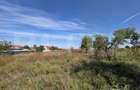 Teren de vanzare, 4 hectare, zona Exterior Vest - 1