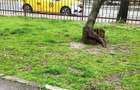 Vânzare 3 Camere 110 mp | Centrală Proprie | 2 min Mall Vitan, 12 min Metrou - 3