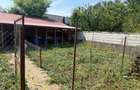 Casa din lemn masiv | 3 camere | Teren 5.000mp -Berceni Prahova - 15