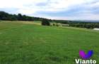 Oportunitate-Teren Extravilan 6200 mp cu vedere Panoramica-Tropinii Noi-Rasinari - 2