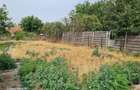 CASA 4 CAMERE HORIA -ARAD - 7