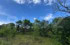 Teren extravilan de vanzare, 6000 mp, zona Hateg - 3