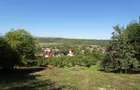 Teren intravilan + extravilan 10.537 mp – casa, livada sau ferma de familie - 7