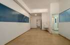 Spatiu comercial  424 mp  Oportunitati multiple - Baneasa Jandarmeriei - 2