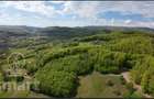 Proprietate exclusivă în inima naturii 13.700 mp cu pădure proprie - 4