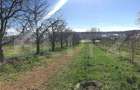 Teren mixt -construibil (intravilan) + livadă matură (Extravilan) – La DN 72A - 7