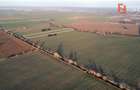 Teren extravilan arabil 4.803 mp - aproape de centura Timisoara Sud - 1