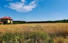 TEREN -INTRAVILLAN-SUPERB-SNAGOV-PADURE-UTILITATI - 1