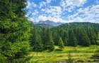 Teren intravilan panoramic 4.600 mp, view iconic Piatra Craiului, oportunitate P - 1