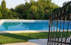 VILA IMPRESIONANTA CU ACCES LA LAC si PISCINA - 11