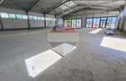 Hale industriale noi de inchiriat – spatii modulare 100–560 mp - 2