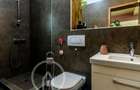 Casa individuala de vanzare in Faget 360mp cu teren de 1100 mp - 9