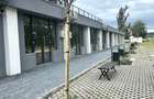 SPATII COMERCIALE/ BIROURI NR.C1-U24 in site nr.14 - 10