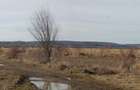 Teren 5037 m.p. Mosoaia , Arges - 1