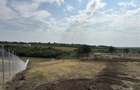 TEREN INVESTITIE | PANORAMA | 4.350 MP | SAUAIEU | BIHOR - 3