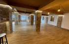 Spatiu birou, activitati artistice - zona Razoare- P-ta Danny  Huwe - 3