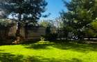 Vila duplex/Pozitie excelenta/Toate utilitatile - 15