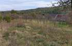 Casă Tradițională Săsească ?n loc.Aciliu cu 2974mp tere - 25