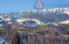 Oportunitate! Teren 10.669 mp în Moieciu de Jos –Natură Pură, Potential Turistic - 11