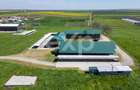 Black Angus Farm with authorized Slaughterhouse - 11