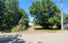 Vânzare teren 6000 mp în orașul Măgurele - 9