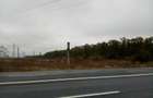 Vand Teren pt PARC FOTOVOLTAIC, BENZINARIE, HALE - DN5 Bucuresti-Giurgiu km 45 - 9