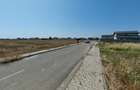 Dragomiresti Valea - Langa Centura, teren 15.000 mp, 28E/mp - 4
