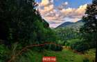 Teren extravilan 8635 mp, Pestera /Brasov - 1