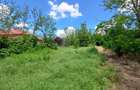 TEREN INTRAVILAN, 602 MP, REDIU - 1