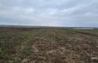 Teren drept Manastirea Doamnei, deschidere mare - 1