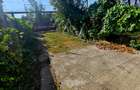 Casă cu teren generos de 1.297 mp, zona Rudului – Ploiești - 48