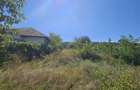 TEREN INTRAVILAN DE VANZARE ONESTI - 4